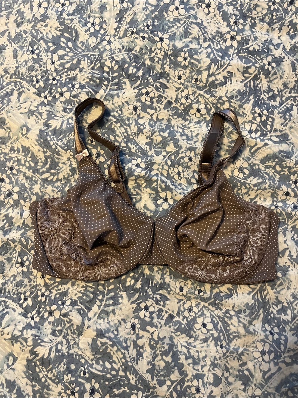 Olga Brown Polka Dot Lace Underwire Bra